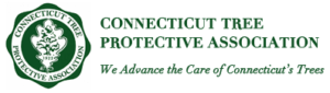Arborists in CT