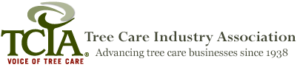 Arborists in CT