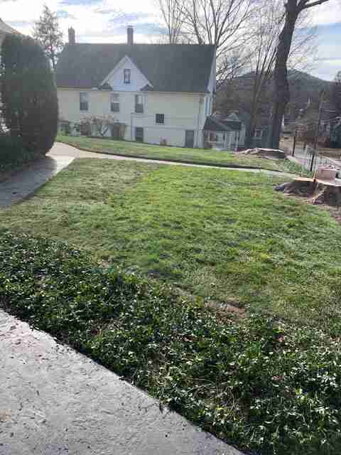Lawn saved by Alturnamats