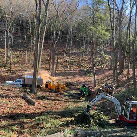 Land clearing cleanup with excavator and wood chipper
