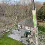 Crane lowering top of tree to ground