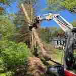 Machinerly picking up logs