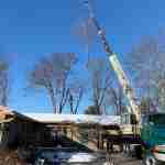 Crane being used to remove tree