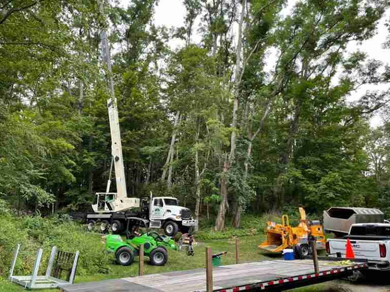 KDF Tree removal equipment setting up to remove locust trees