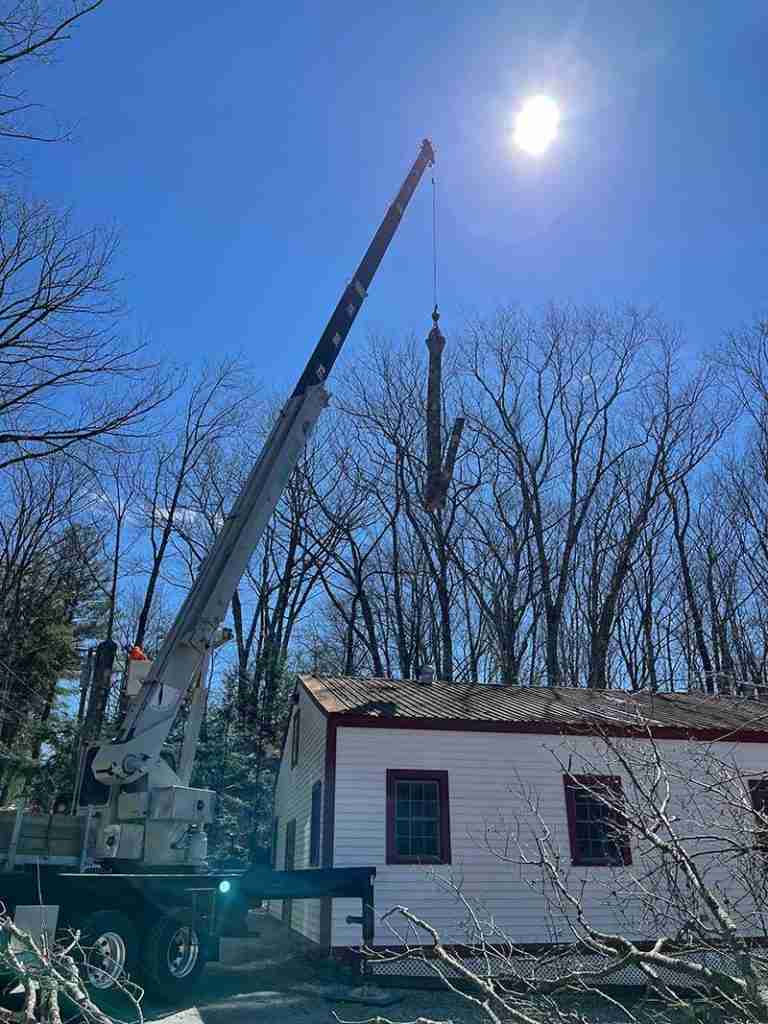 Dead Ash trees being removed with crane in Torrington.
