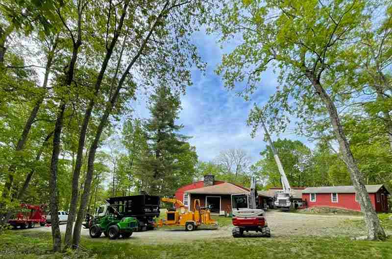 Setting up with crane for tree removals in Litchfield, CT.