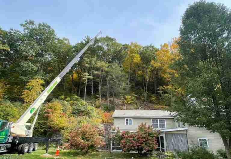 Crane removal of potentially hazardous trees on steep hillside.