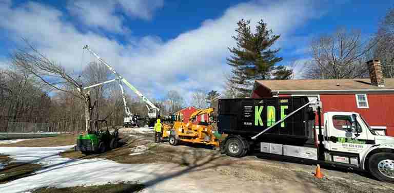 The folks at Camp Mohawk realized that this large dead ash tree should be removed.