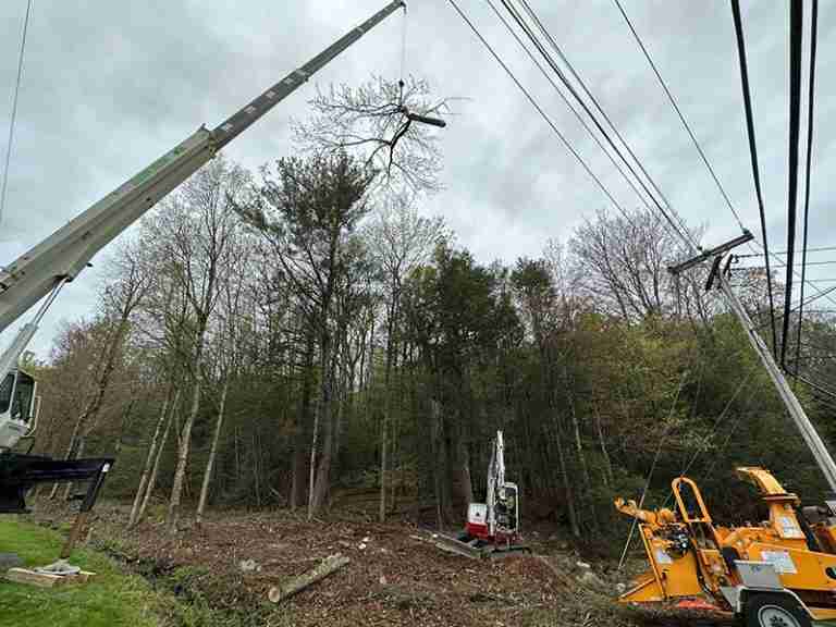 Town of New Hartford tree removal by crane.