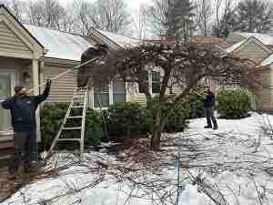 Three KDF Tree guys trimming a Crabapple tree.