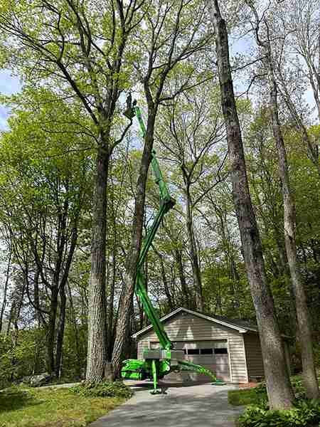 90' tracked lift being used for storm damage tree removal in Harwinton.