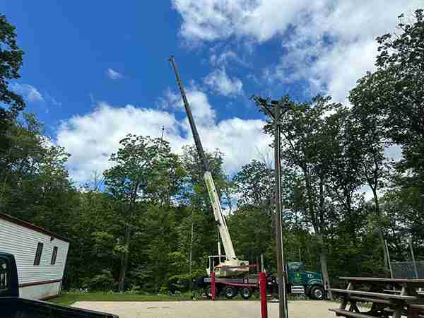 Crane tree removals at Camp Wah-nee in Torrington.