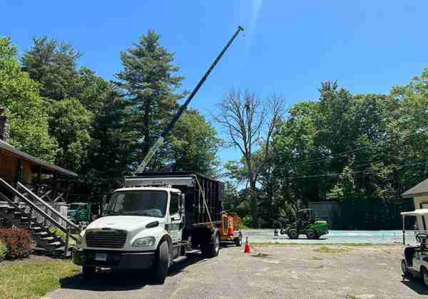 KDF Tree is set up for removing dead Ash trees in Winsted at Greenwood Trails.