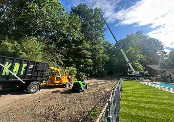 Crane setup for dead Ash Tree removals in Winsted at Greenwood Trails.