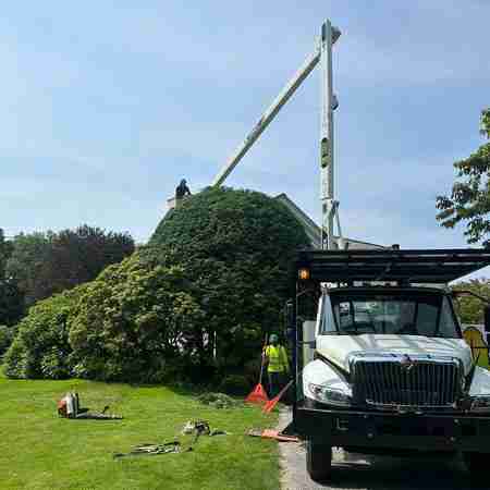 Pruning hedges with our bucket truck.