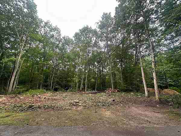 Land clearing in Harwinton.