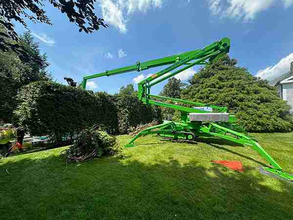 Pruning hedges with the tracked lift.
