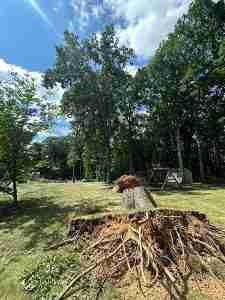 Stump and roots remain after fallen two trees were removal from back yard after microbursts in Simsbury, CT.