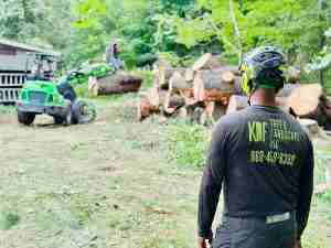 White Pine tree removal resulted in large logs and 150 yards of woodchips.