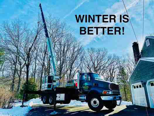 When is the best time for tree removal? Winter is better. Image showing truck with boom set up to remove a tree in winter.