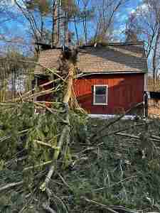 White pine tree fallen through roof of garage during winter storm damage in CT.