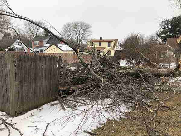 Winter storm damage with tree crashed down on fence.