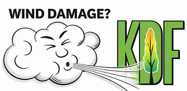 Face on a cloud blowing wind that can cause windstorm damage.