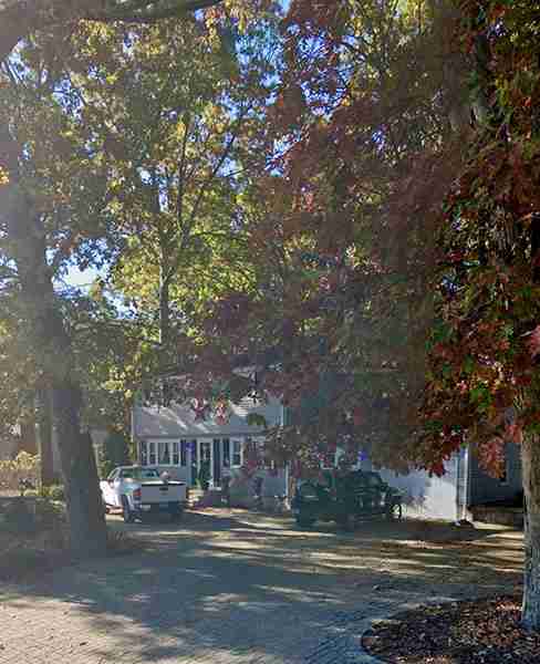 Front yard with large trees shading before tree removal in Southington, CT.