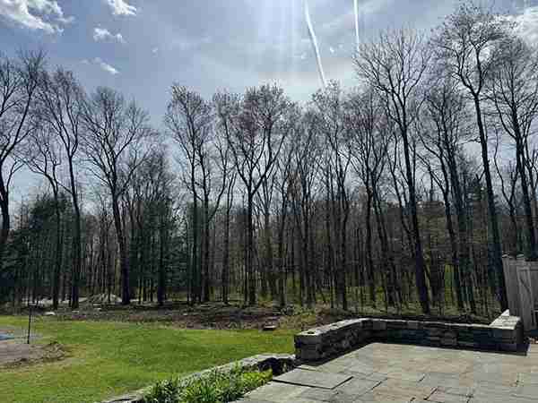 View of land clearing area from patio.