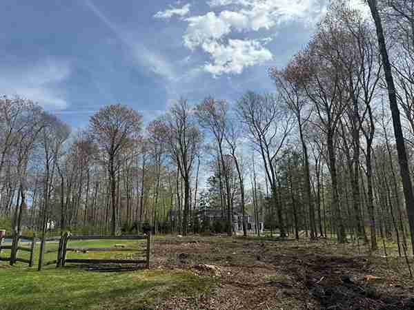 View of land clearing area in back yard.