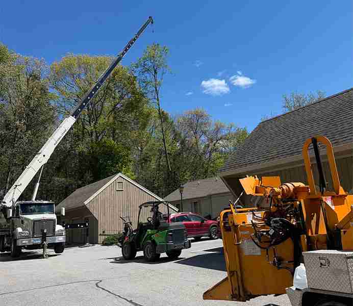 KDF Tree services for condo associations removing trees with a crane.