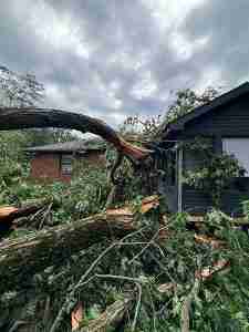 July 4th storm damage in Torrington showing trees having fallen on a residence.