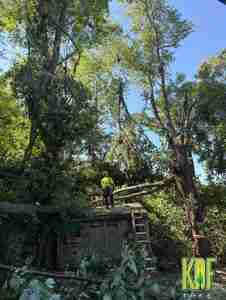 July 4th storm damage in Torrington showing trees having fallen on a shed.
