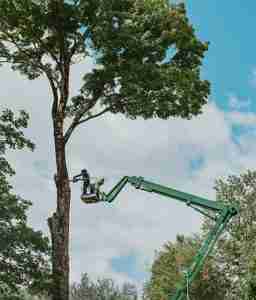 KDF Tree using their 90' tracked lift and other professional tree care equipment.