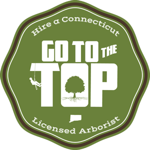 "Go To The TOP" logo for Connecticut Licensed Arborists.