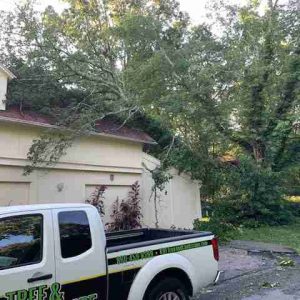 Tree fallen on roof of house